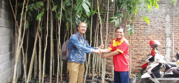 3. Bantuan Bibit Pohon Bandung 6 Oktober 2016