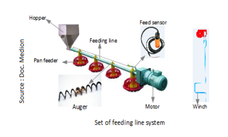 Broiler Feed Management