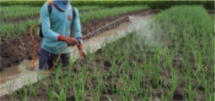 Penggunaan Pestisida Dalam Pertanian