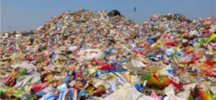 Kelola Sampah dengan Program Pilah Sampah di Rumah