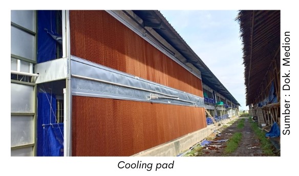 Serba-Serbi Peralatan Broiler Closed House 2 cooling pad