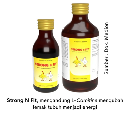 Produksi Telur Berhenti Mendadak dan Kelebihan Bobot Badan 3 produk strong n fit Medion