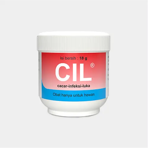 CIL-Cacar-Infeksi-Luka