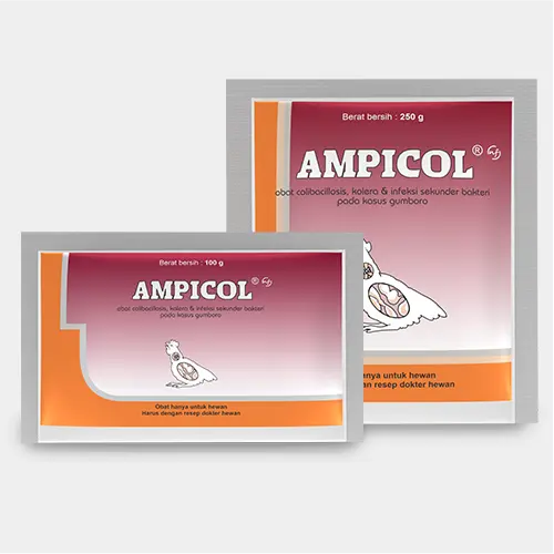 ampicol nf