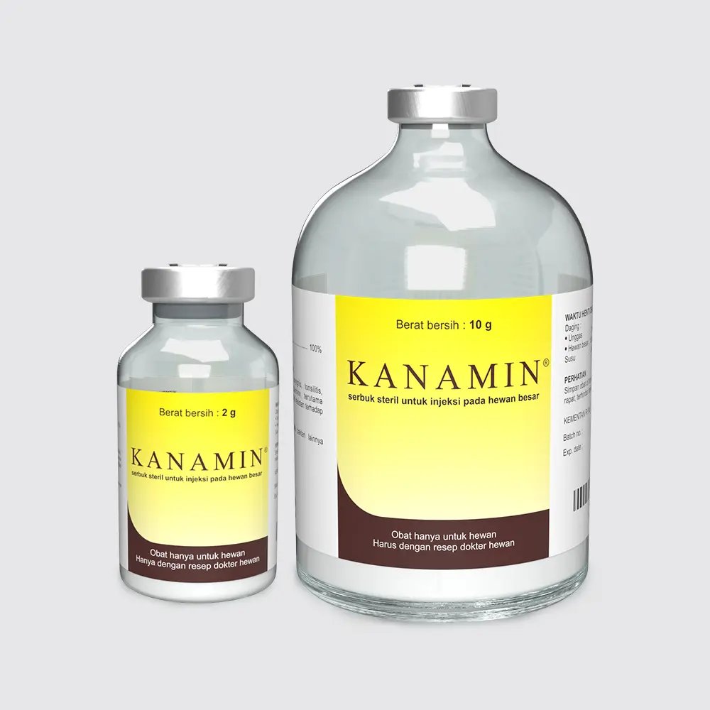 Kanamin