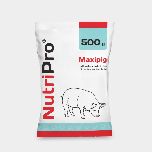Maxipig