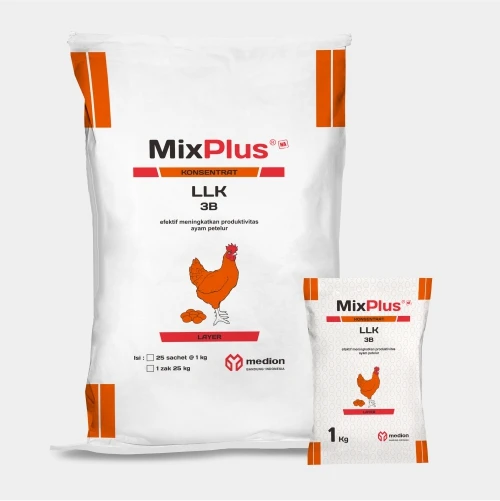 MPLLK3B-NA-ID-WEBSITE