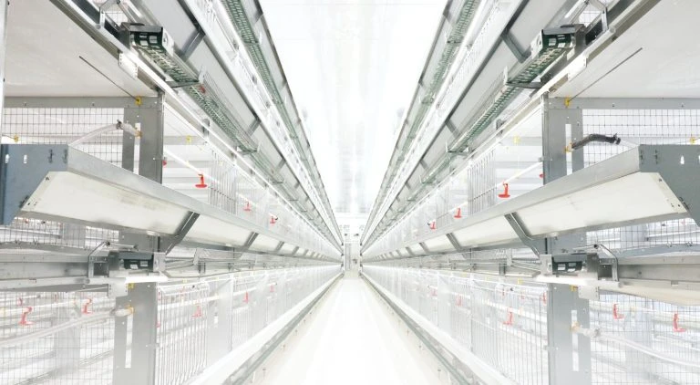 PS2800 Layer Breeder System