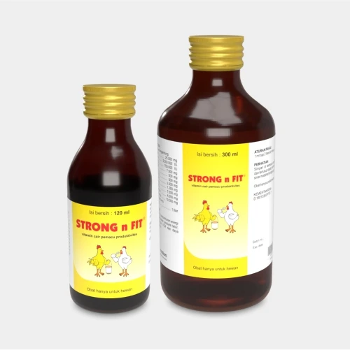 STRONG-N-FIT-GABUNGAN