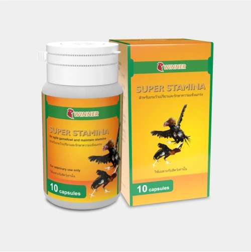 Super Stamina