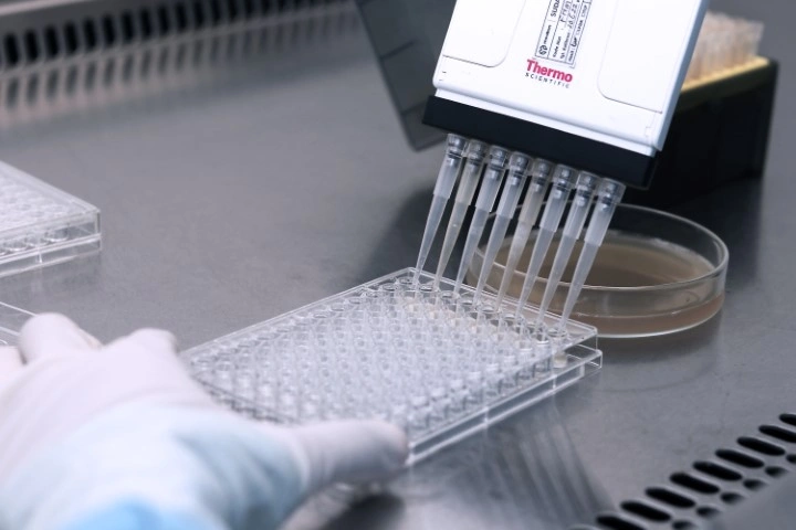 Laboratorium Bakteriologi 3 IMG 0414 Sensitivitas