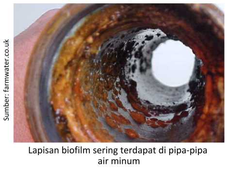 Berantas Biofilm pada Saluran Air 2 4 e1719542131445 470x350 1