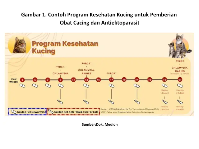 Tips Mencegah Penyakit Parasit pada Kucing 11 HK13