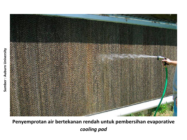 Desinfeksi Kandang Closed House 1 KT 1