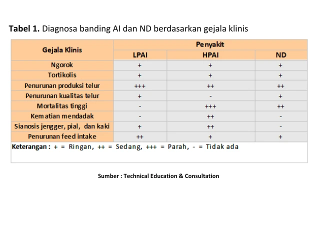 Deteksi Penyakit pada Ayam 1 KT1