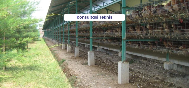 penggunaan obat antilalat di kandang
