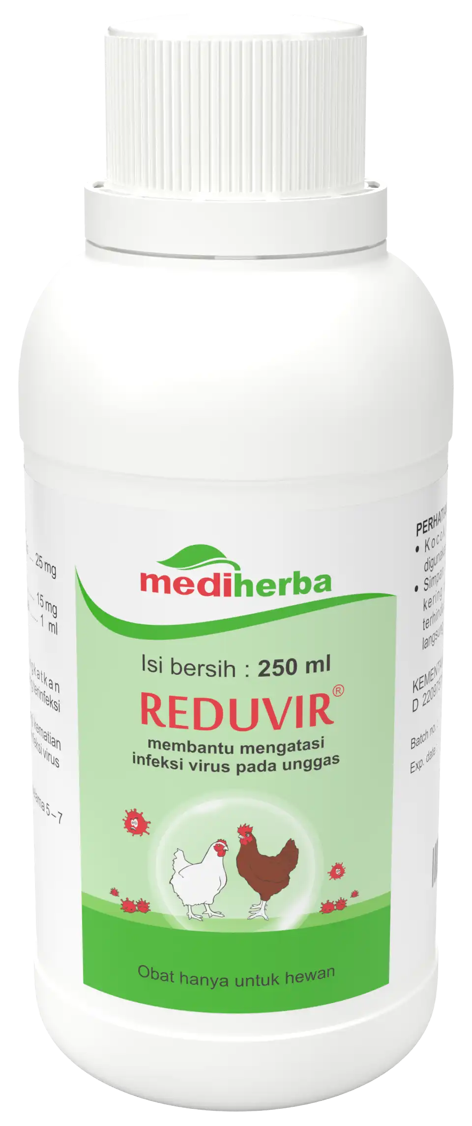 RDVREDUVIR250MLBOTOLID