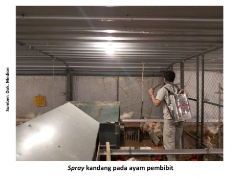 Perbaikan Biosekuriti di Musim Penghujan 1 S1 467x350 1