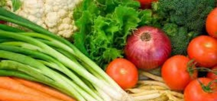 Berkebun di Rumah, Langkah Mudah Menjaga Ketahanan Pangan 3 SS 4