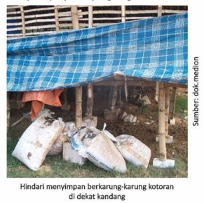 Mengatasi Populasi Lalat 1 01 2