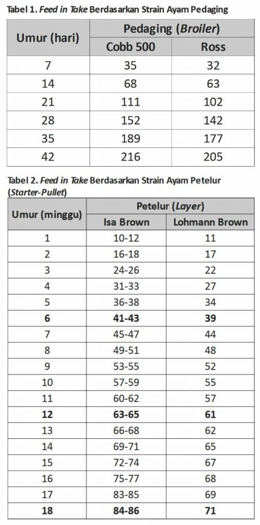 Tingkatkan Konsumsi Ransum, Produksi Optimal 2 2 1 508x1024 1