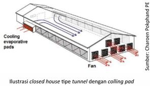 Closed House, Solusi Peningkatan Performa Ayam 3 40AU03 3
