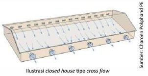 Closed House, Solusi Peningkatan Performa Ayam 4 40AU04 3