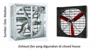 Closed House, Solusi Peningkatan Performa Ayam 5 40AU05 3