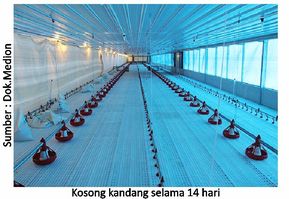 Titik Lemah Manajemen Penyebab CRD dan Korisa 8 40AU08 1