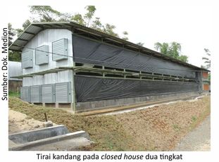 Closed House, Solusi Peningkatan Performa Ayam 9 40AU09 2