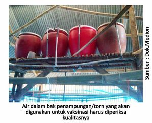 Tata Laksana Vaksinasi 1 40KT02 2