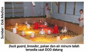 Info Medion 21 40KT02-3-1-1