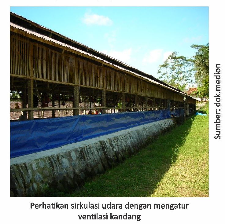 Kejadian Coryza yang Selalu Berulang 7 7