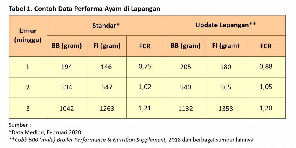 Optimalkan Pemanas Untuk Keberhasilan Masa Brooding 1 contoh data performa ayam di lapangan