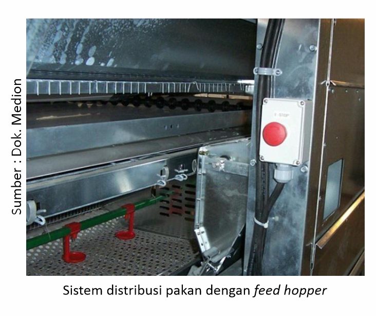 Mengenal Kandang Closed House untuk Layer Modern 5 sistem distribusi pakan dengan feed hopper