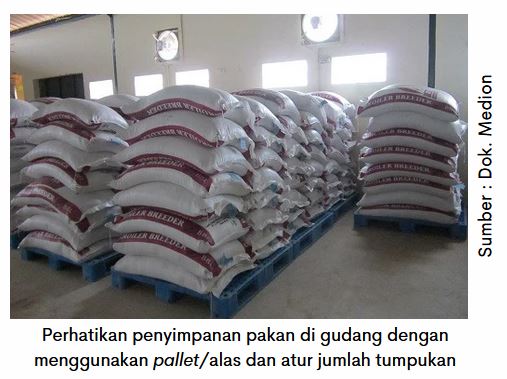 Kesehatan Pencernaan Optimal, Produksi Telur Maksimal 7 AU 07 4