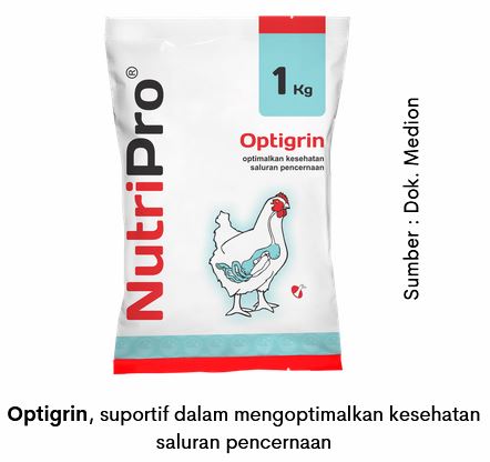 Kesehatan Pencernaan Optimal, Produksi Telur Maksimal 9 AU 09 6