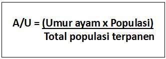 Faktor Penentu Laba Usaha Broiler 7 AU 18