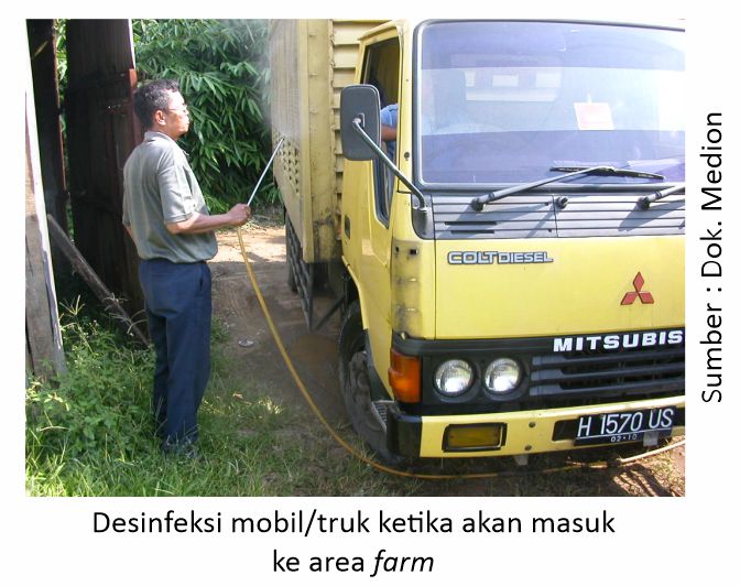 Maksimalkan Proteksi Ayam dari Coryza 6 Desinfeksi mobil/truk