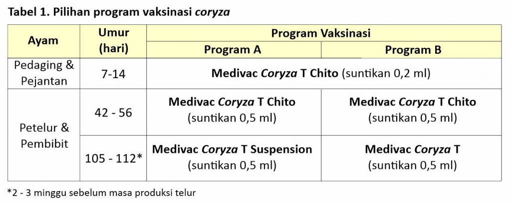 Maksimalkan Proteksi Ayam dari Coryza 7 Tabel 1 Pilihan program vaksinasi coryza