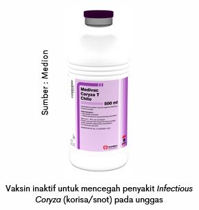 Waspadai Coryza saat Peralihan Musim 7 AU 7 2 1
