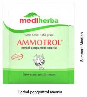 Waspadai Coryza saat Peralihan Musim 8 AU 8 1 1