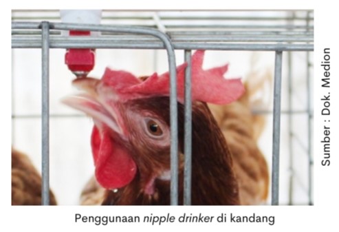 Melarutkan Vitamin yang Benar 2 AU 8 3