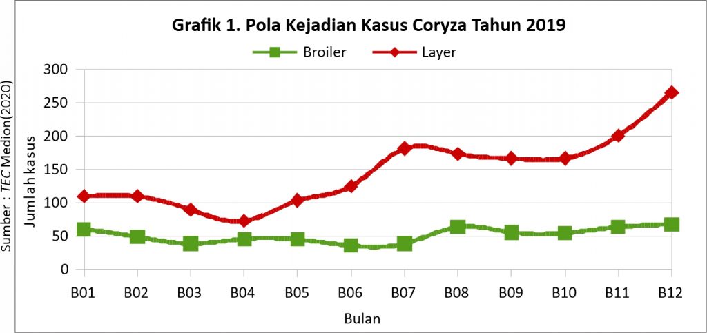 Mengatasi Coryza yang Hobi Kunjungi Kandang 1 AU01 1024x483 1