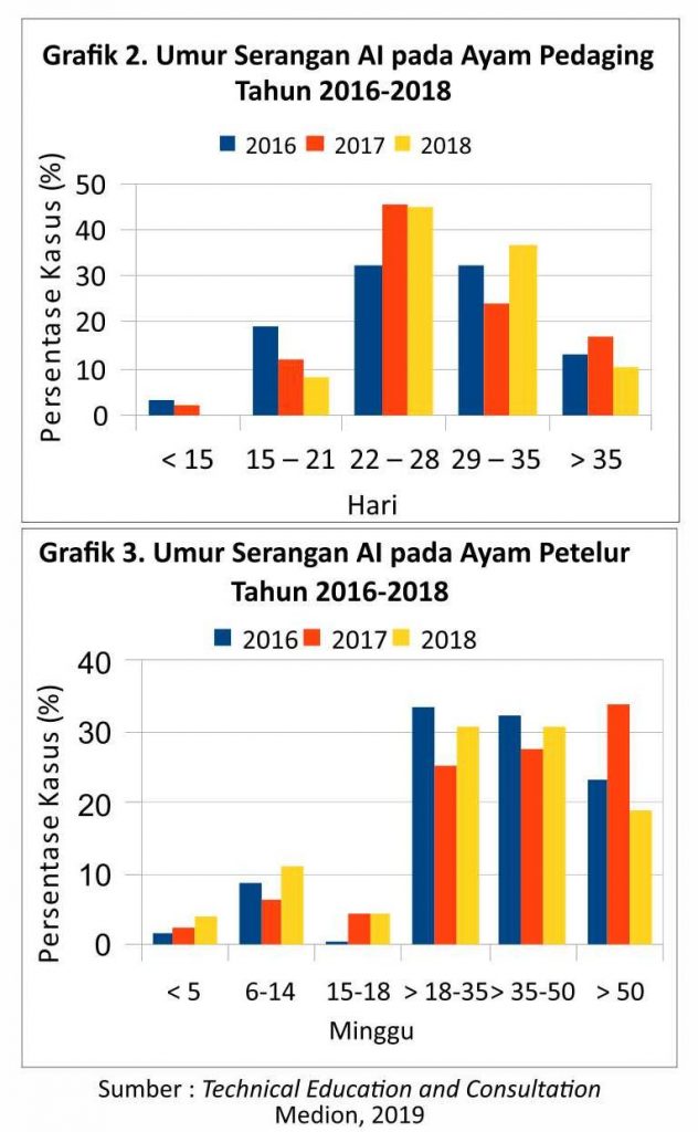 Jeli Cermati AI Terkini 2 AU02 1 632x1024 1