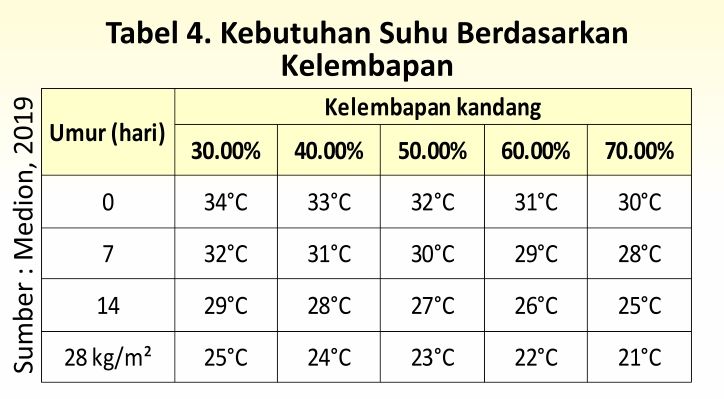 Menilik Strategi Budi Daya Ayam Pedaging 7 AU07 2