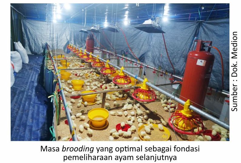 Kilas Balik 2018 dan Proyeksi Penyakit Tahun 2019 9 AU09 2 3