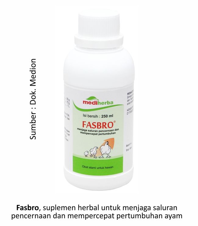 Menilik Strategi Budi Daya Ayam Pedaging 9 AU09 2