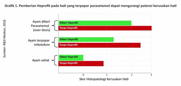 Waspadai Kerusakan Hati pada Ayam 10 AU10 1 8