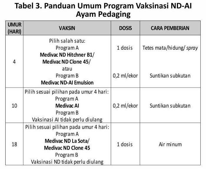 Jeli Cermati AI Terkini 11 AU11 1 2